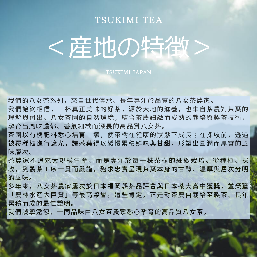 日本 八女茶 八女煎茶 茶包「別製八女」 【綠茶 / 八女茶】農家產地直送