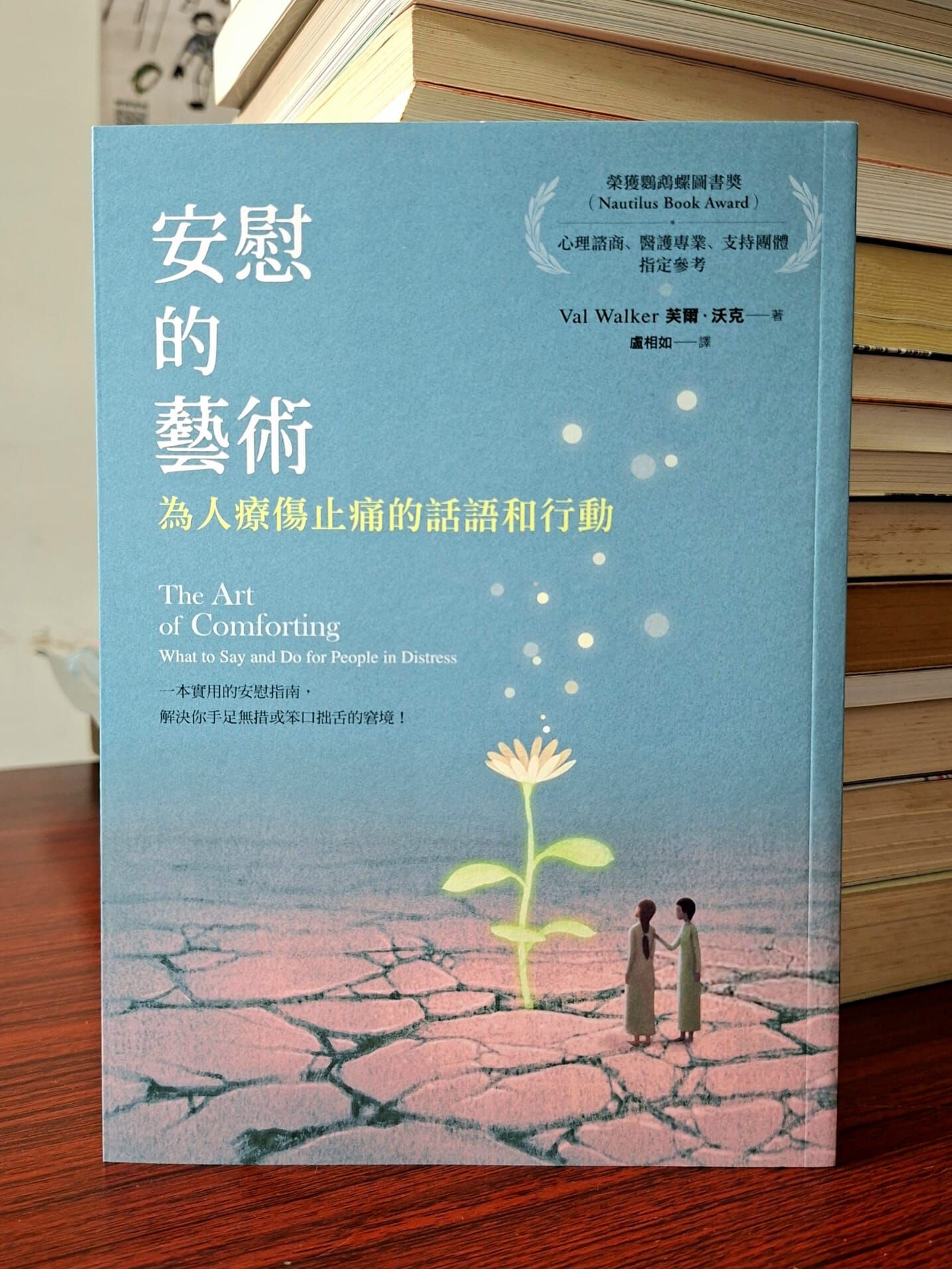 《安慰的藝術：為人療傷止痛的話語和行動》