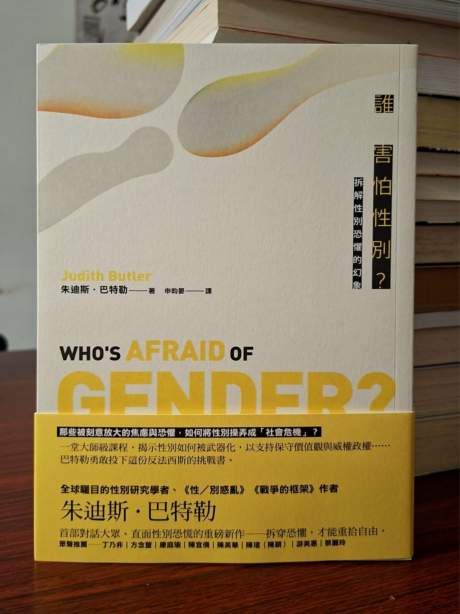 《誰害怕性別？：拆解性別恐懼的幻象》