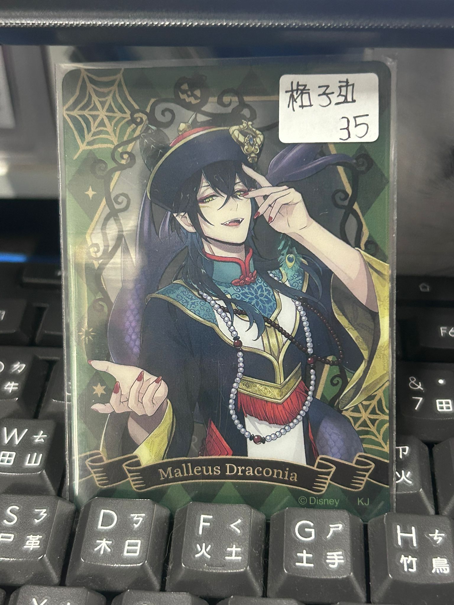 TWST Malleus 小卡 格子邊 #130126