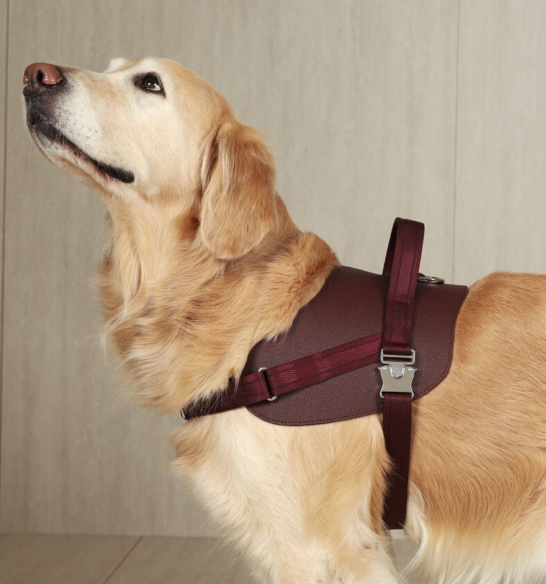 Saddle Harness | Savino Grain Leather 荔枝紋皮革版