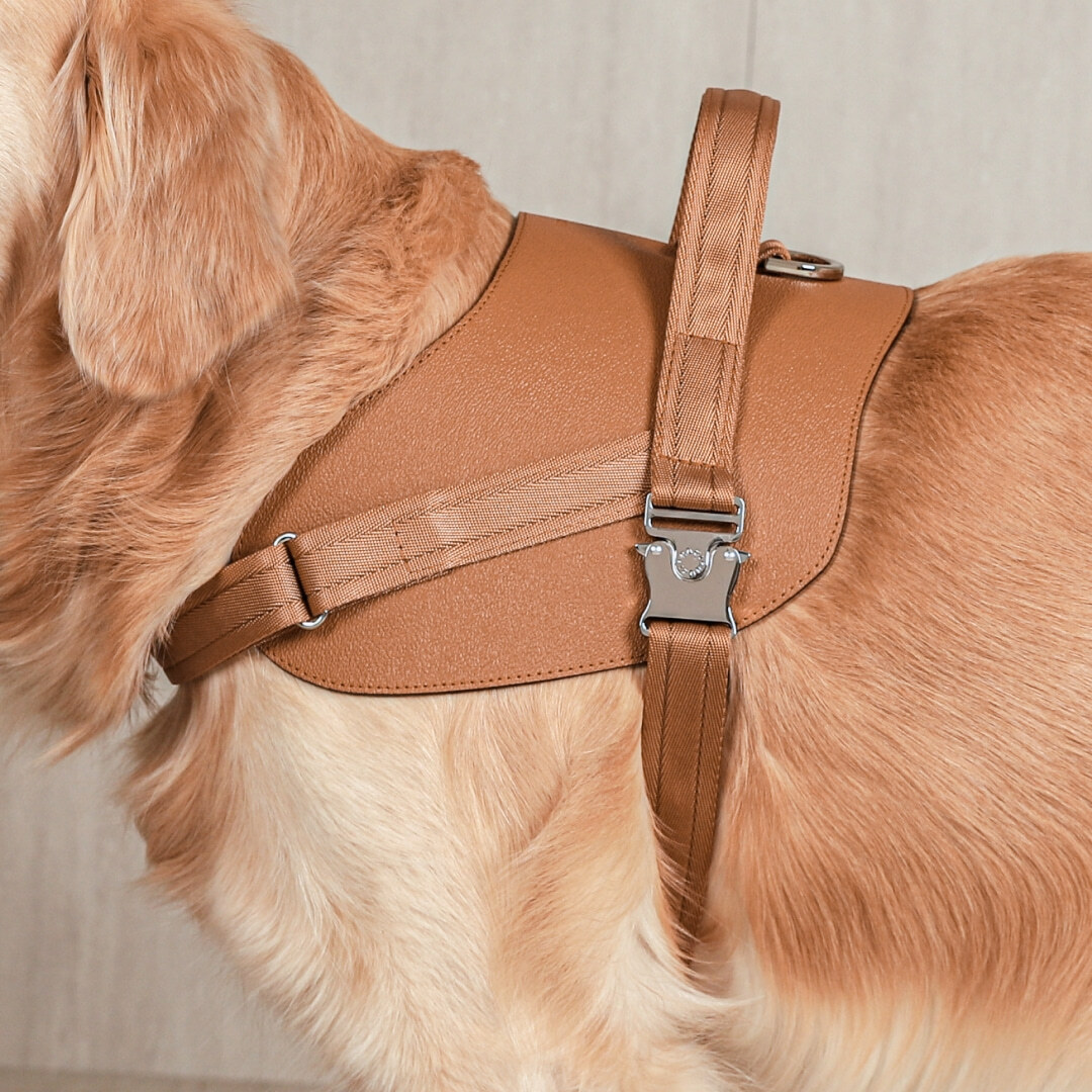 Saddle Harness | Savino Grain Leather 荔枝紋皮革版