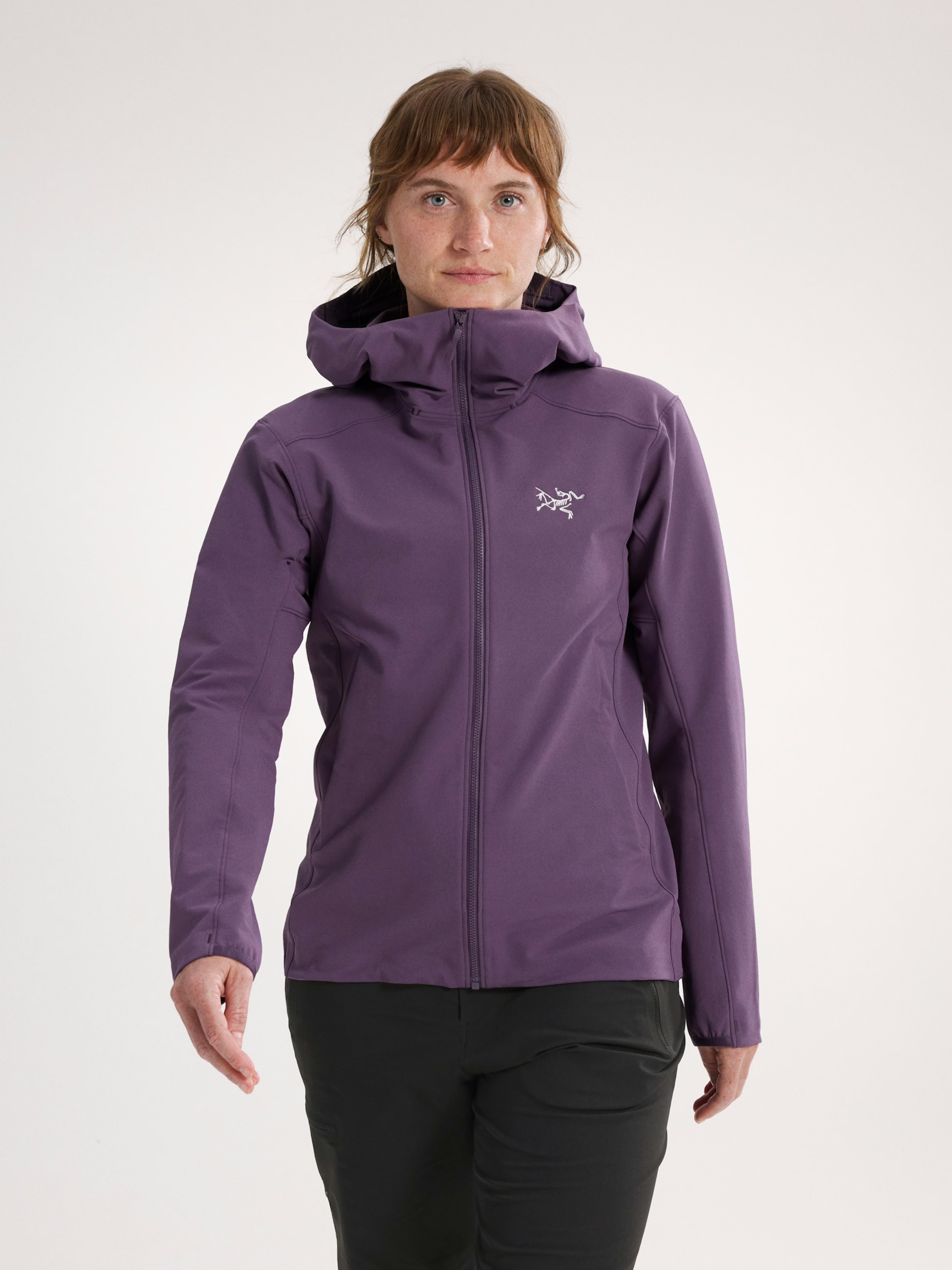 Arcteryx Gamma Hoody W Moondrop
