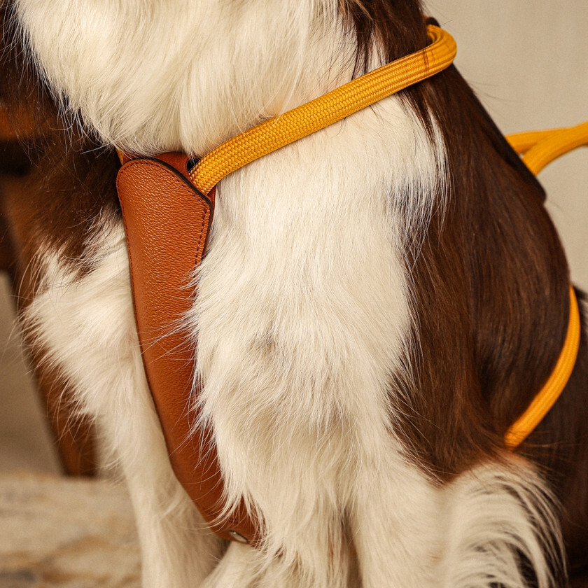 Essential Harness | Savino Grain Leather