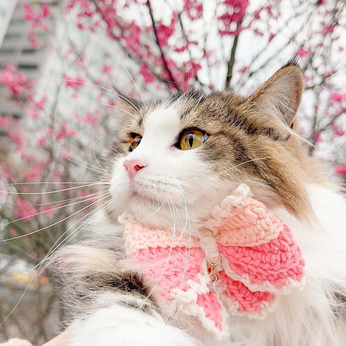 奶油蝴蝶結系列（領巾款／皮革扣款）