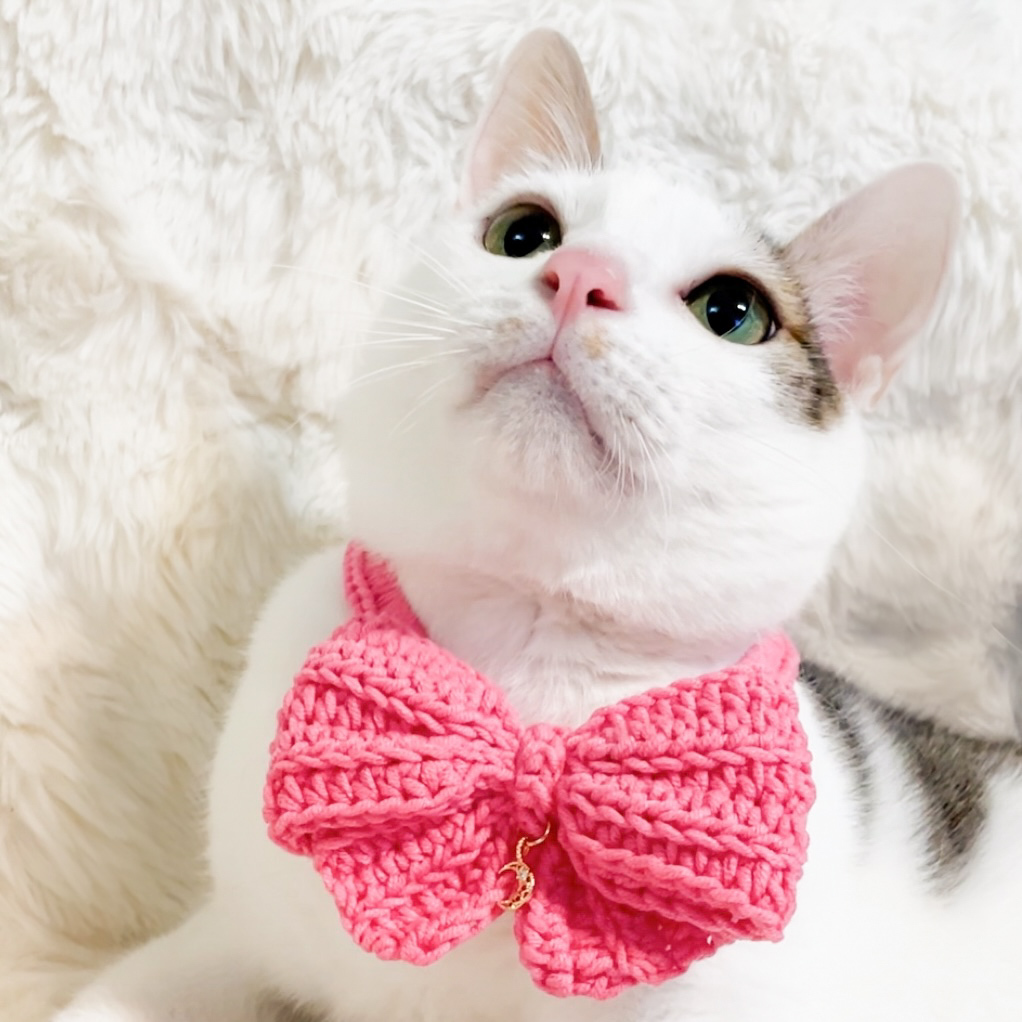 編織蝴蝶結系列（領巾款／皮革扣款）