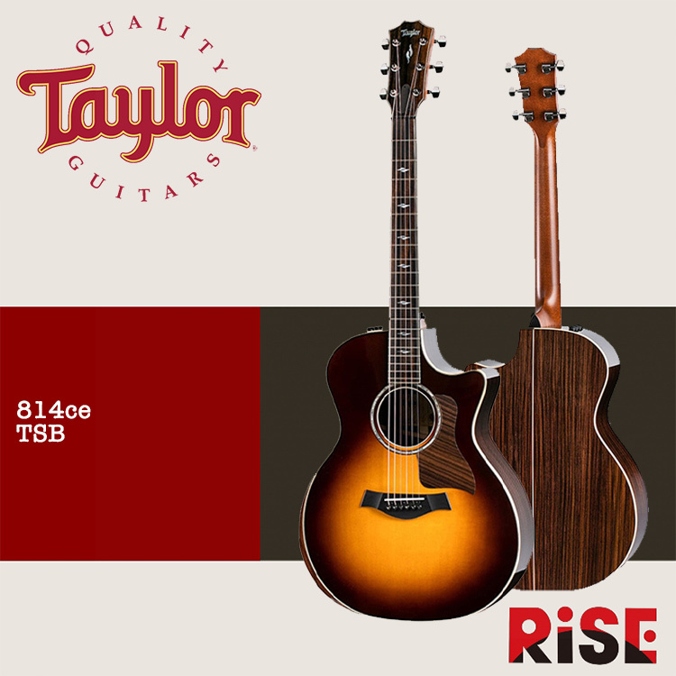 Taylor 814ce V-Class 全單板 Indian Rosewood 木吉他