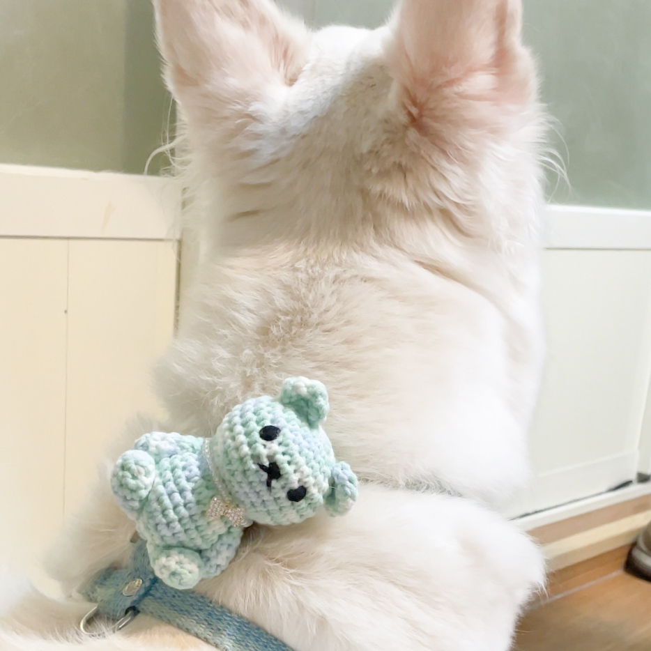 汽水泡泡熊｜胸背扣掛飾