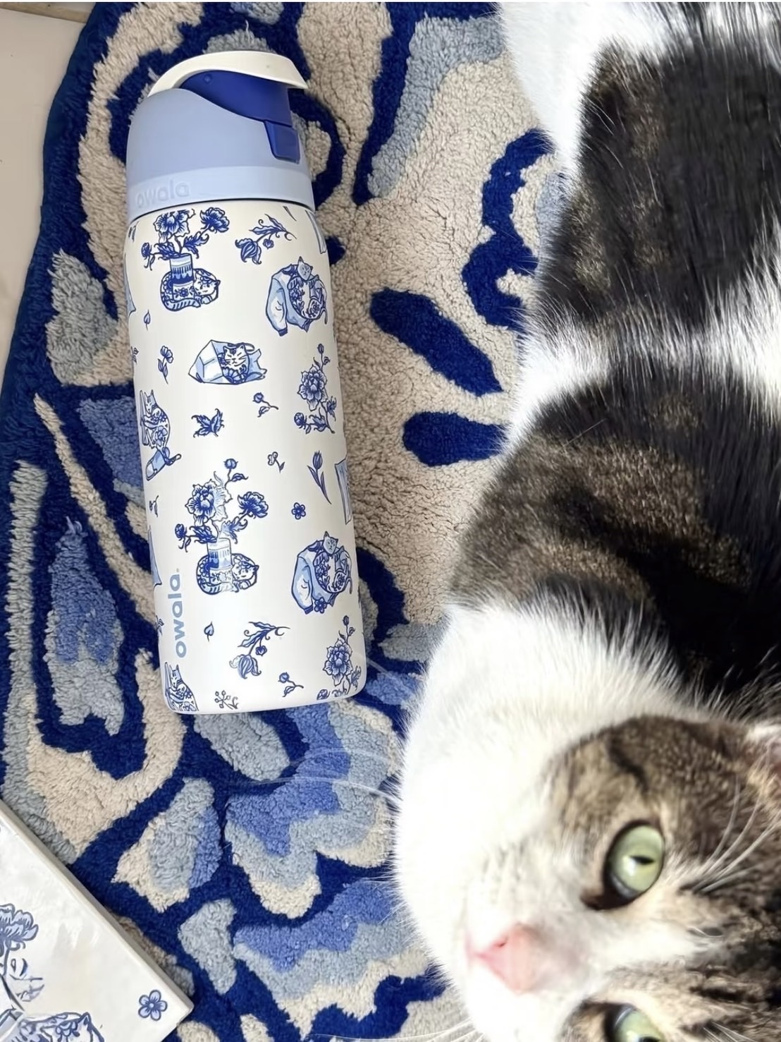 （預購）Owala X UO 聯名FreeSip 不鏽鋼雙飲口吸管水壺