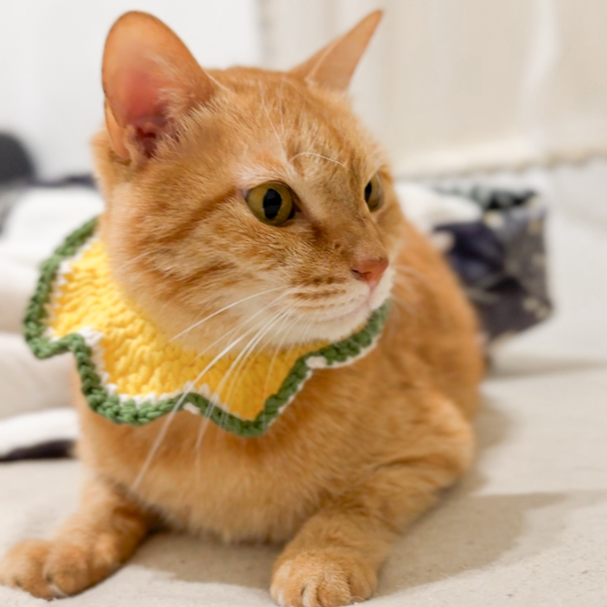 花花領巾-水果系列