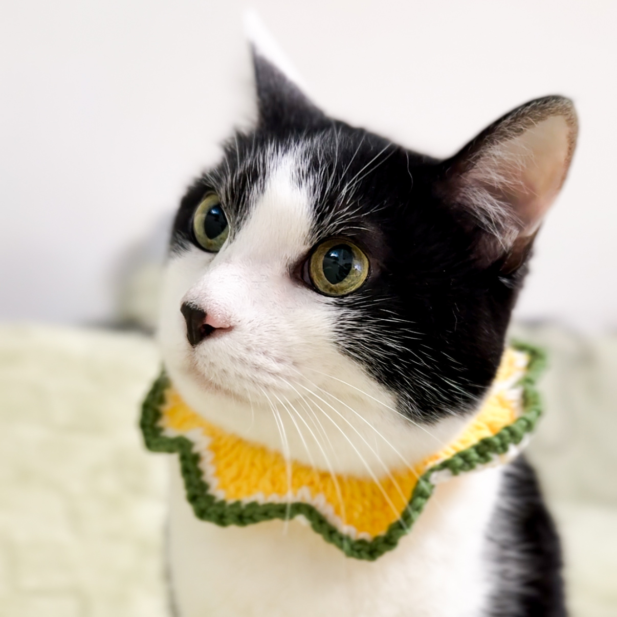 花花領巾-水果系列