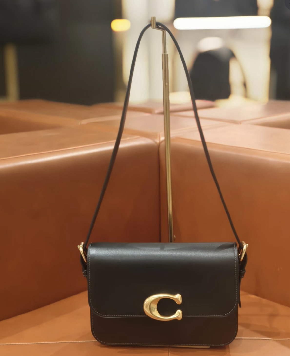 【預購】 Coach H022201 Sage Shoulder Bag