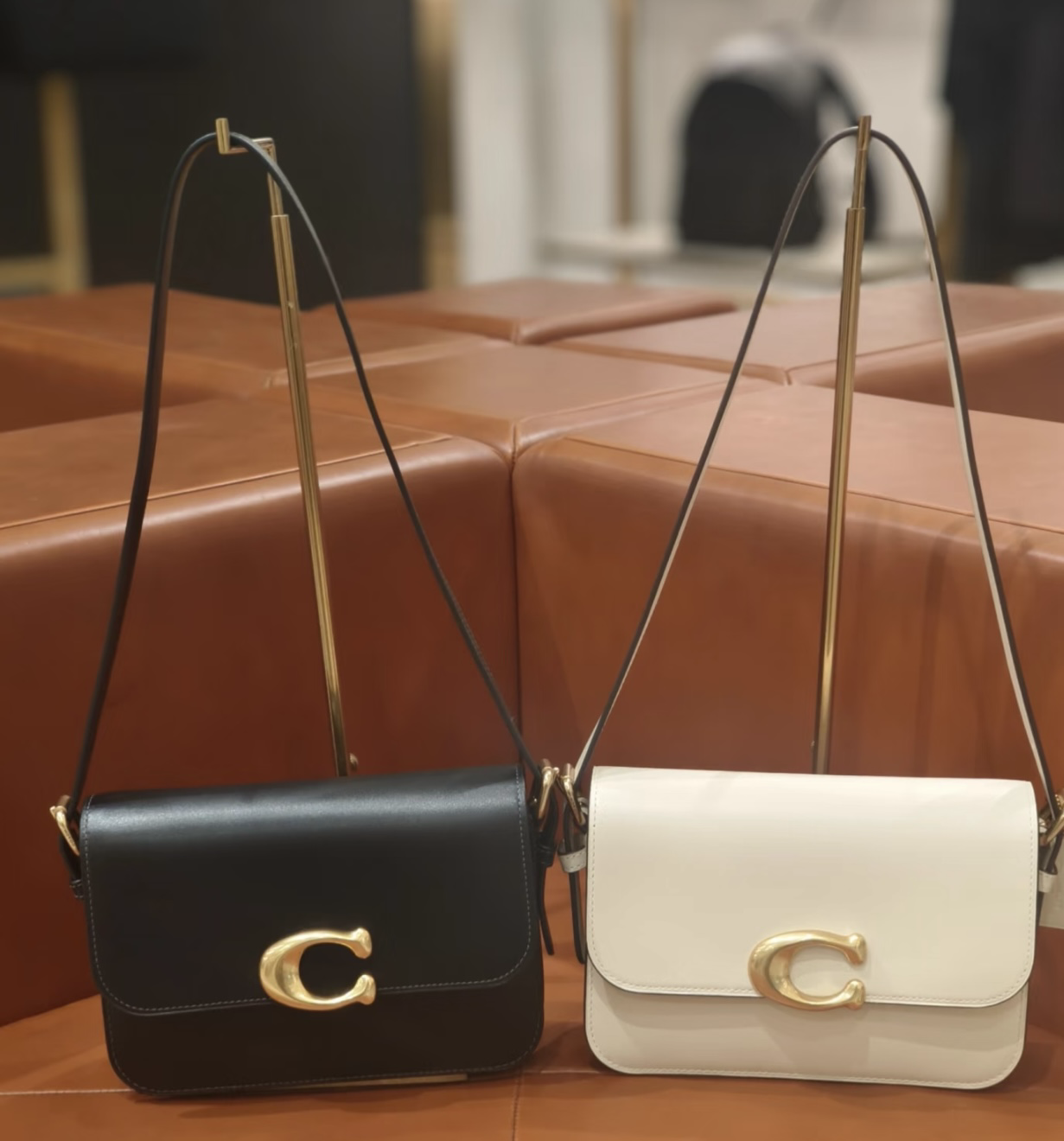 【預購】 Coach H022201 Sage Shoulder Bag