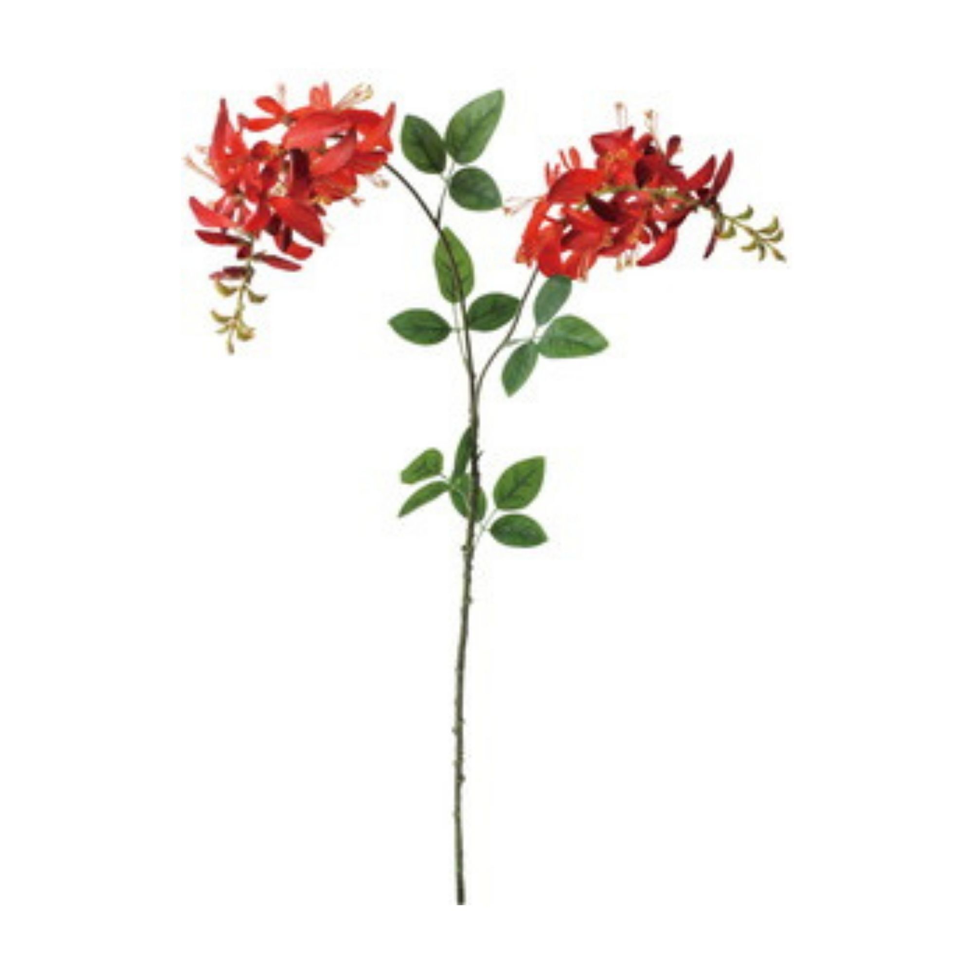 人造花 莿桐花 橘色