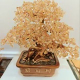 [S] GEMZ & CO HLCT GOLD RUTILE ZHAO CAI TREE, W506 (W506)