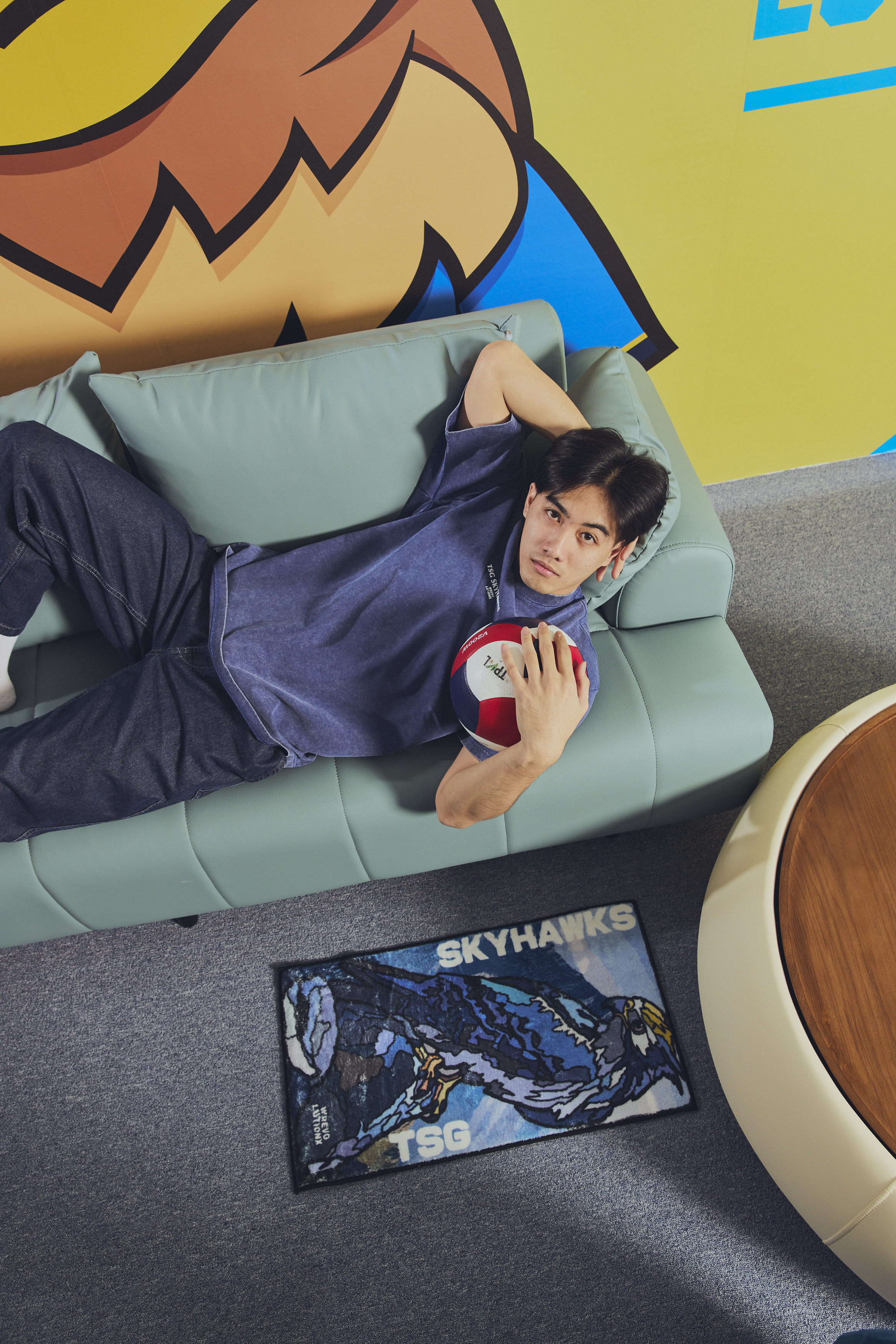 天鷹仿羊絨地毯