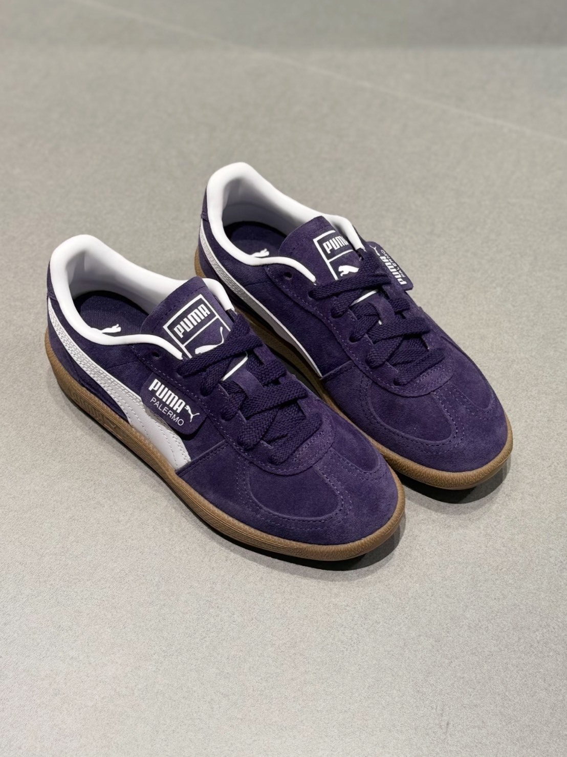 PUMA PALERMO 紫色 德訓鞋