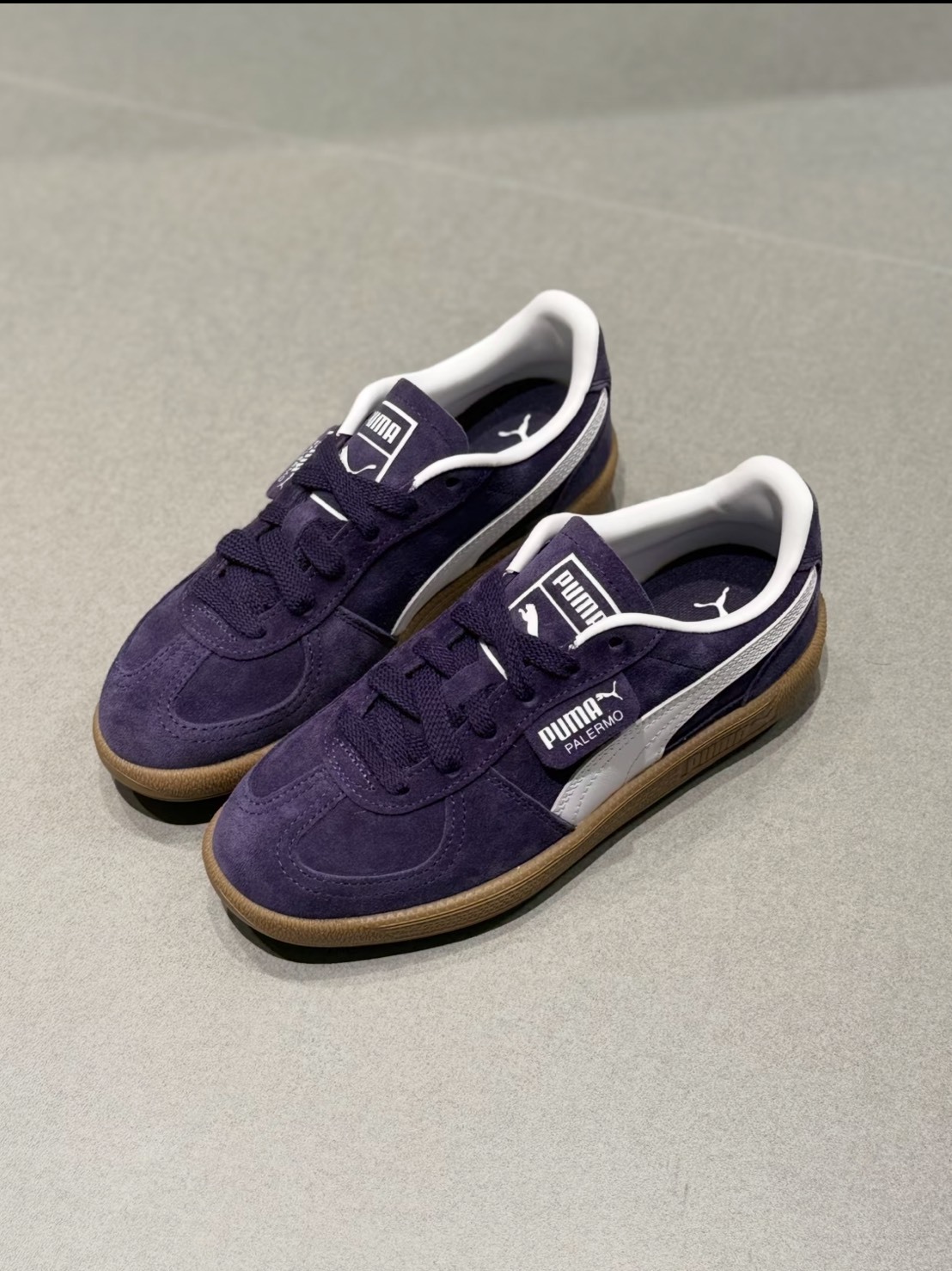 PUMA PALERMO 紫色 德訓鞋