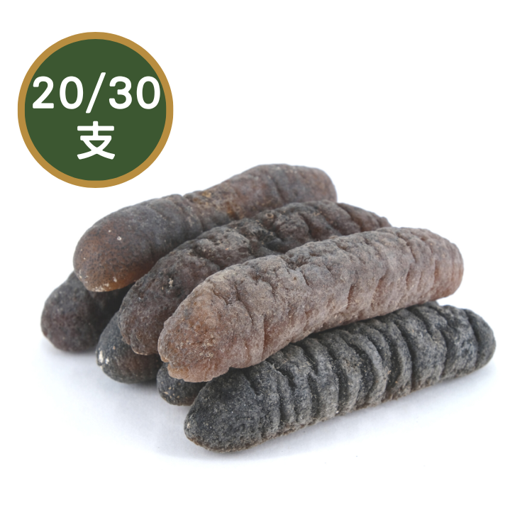 【20/30支】澳洲禿參 (1斤裝)
