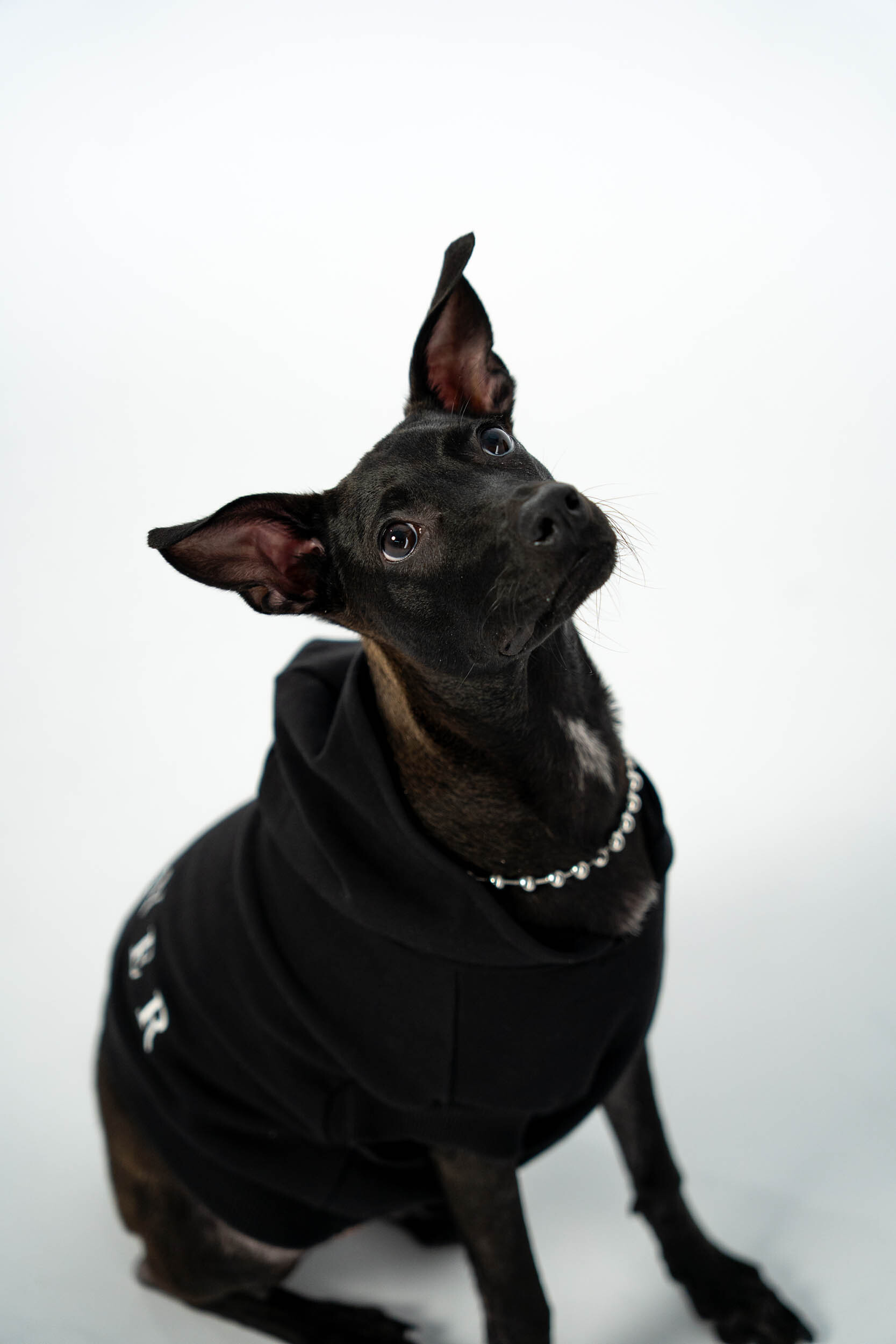 Pet - Hoodie (預購結束)