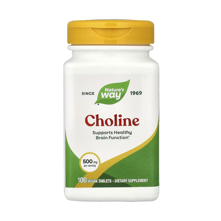 美國Nature's Way 膽鹼500 毫克,100粒裝