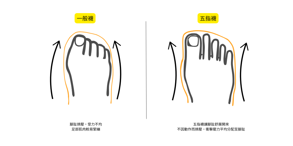 五指襪與一般襪款比較圖