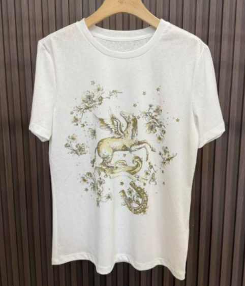 SZ260223-K2-QBS21101-飛馬