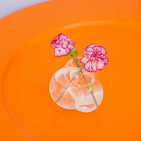 Talbot & Yoon-bub bud 花瓶，適合小型花卉，像肥皂泡一樣漂浮在房間，顯得格外可愛