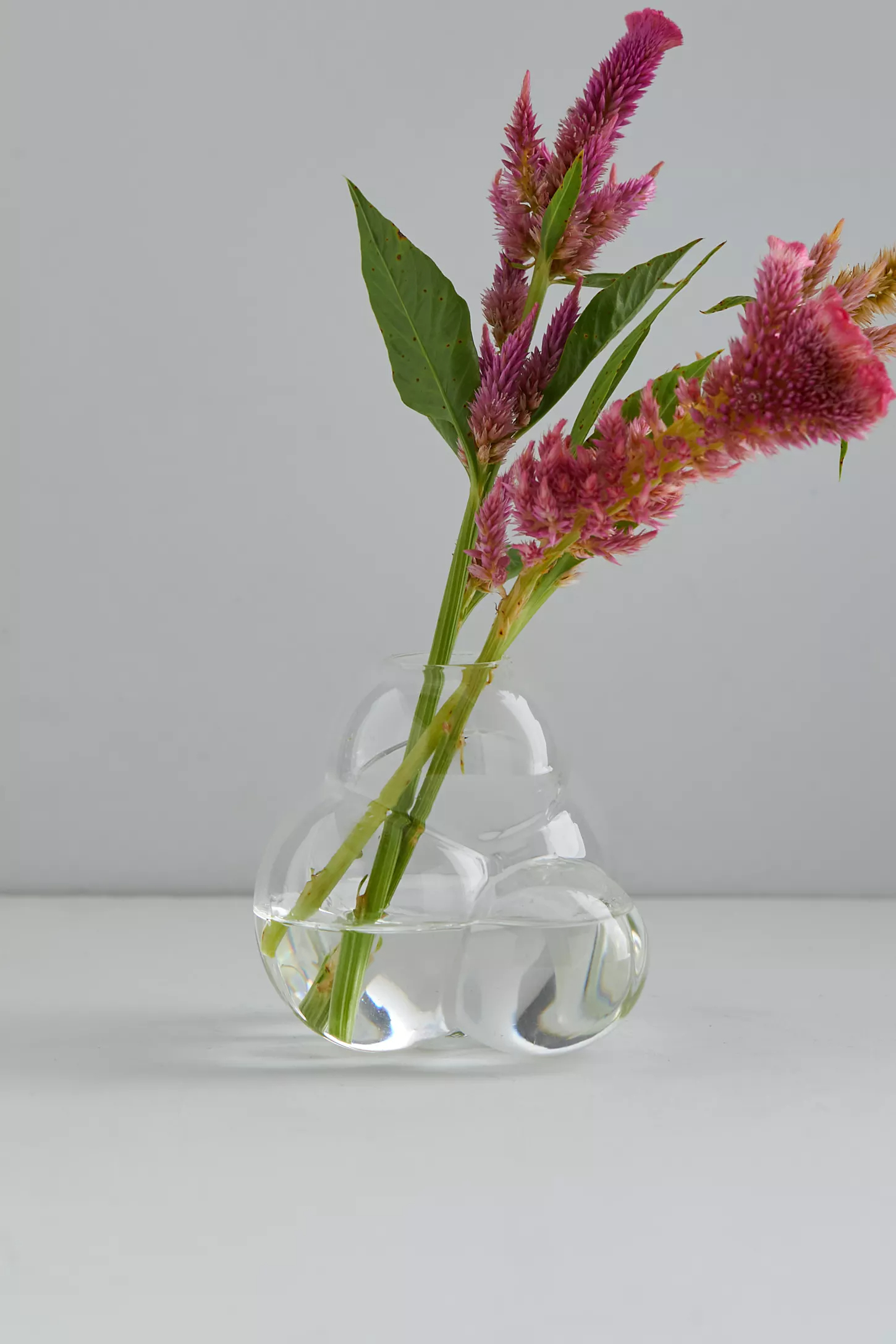 Talbot & Yoon-bub bud 花瓶，將最友善的花卉定格在玻璃中，在最喜愛的空間綻放光彩