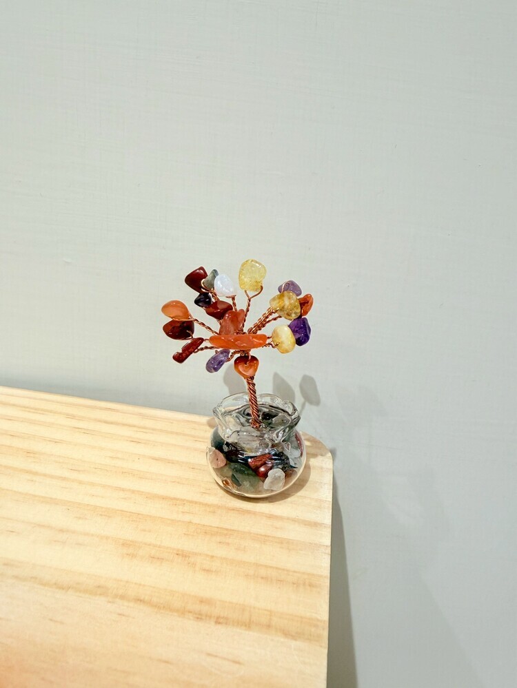 七彩水晶魚缸小發財樹