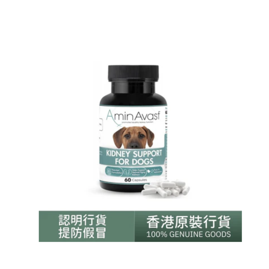 AminAvast -胺腎 腎臟健康營養補充劑 (大型犬專用) 60粒