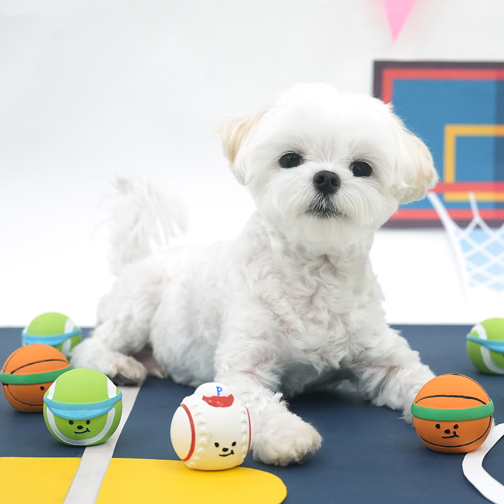 迷你酷萌乳膠小球