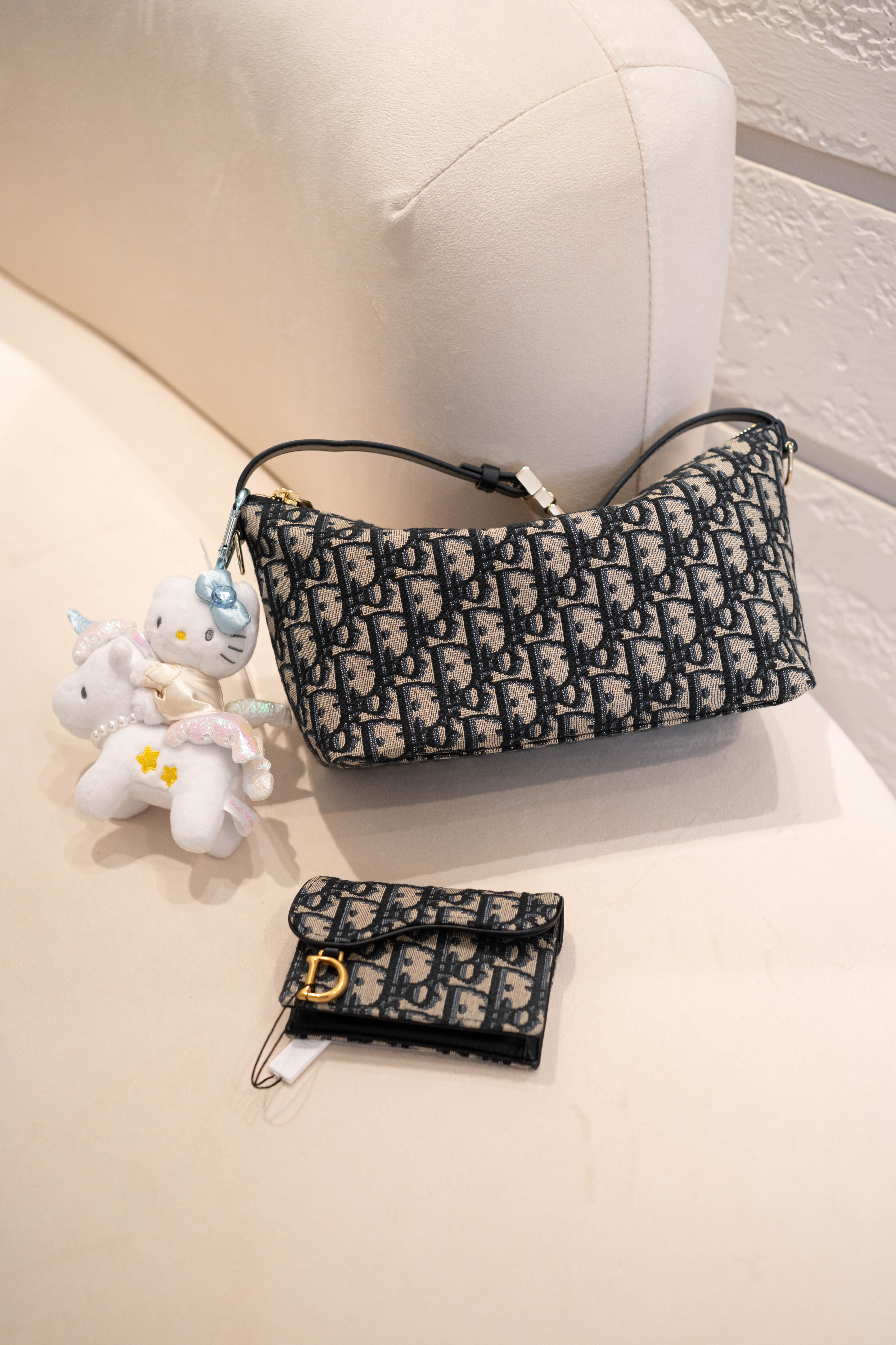 Dior Travel Nomad Pouch