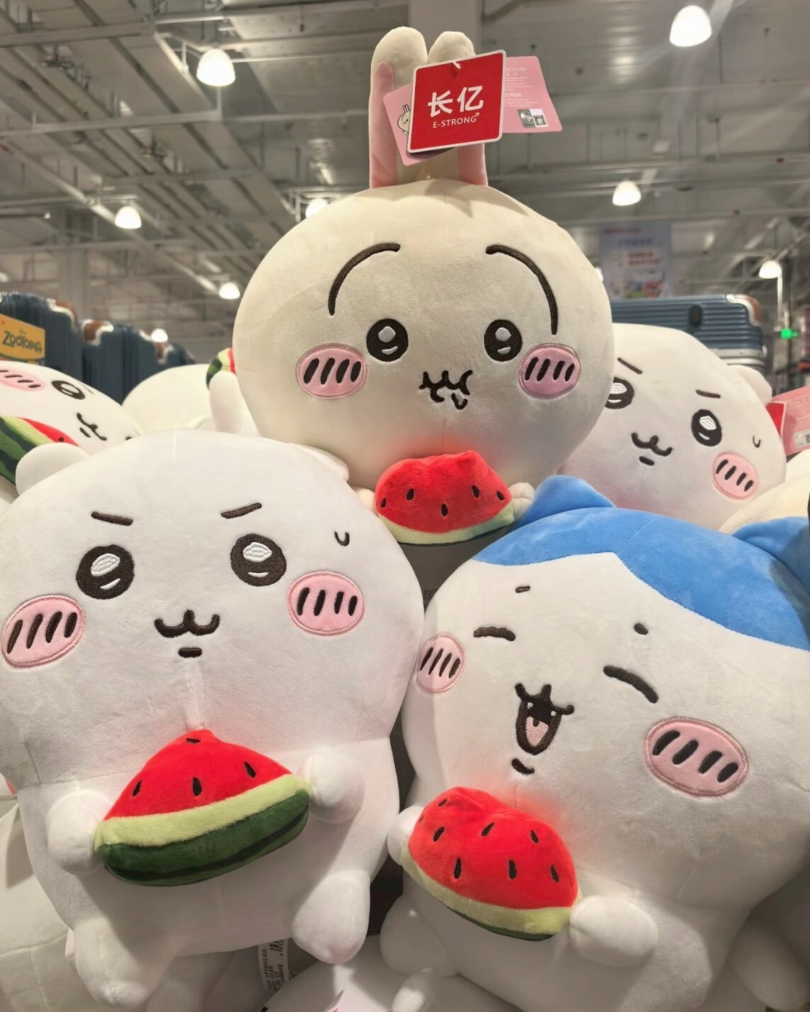 <海外好市多限定>吉伊卡哇 吃西瓜系列 毛絨 娃娃 烏薩奇 小八 吉伊