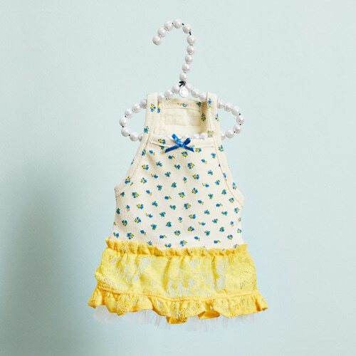 Louisdog 蛋黃洋裝