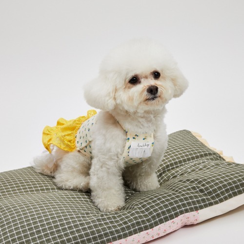 Louisdog 蛋黃洋裝