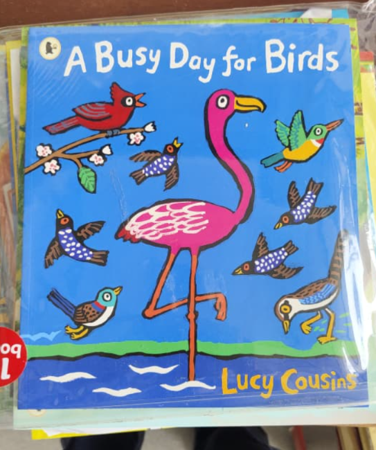 CS A busy day as bird bookset