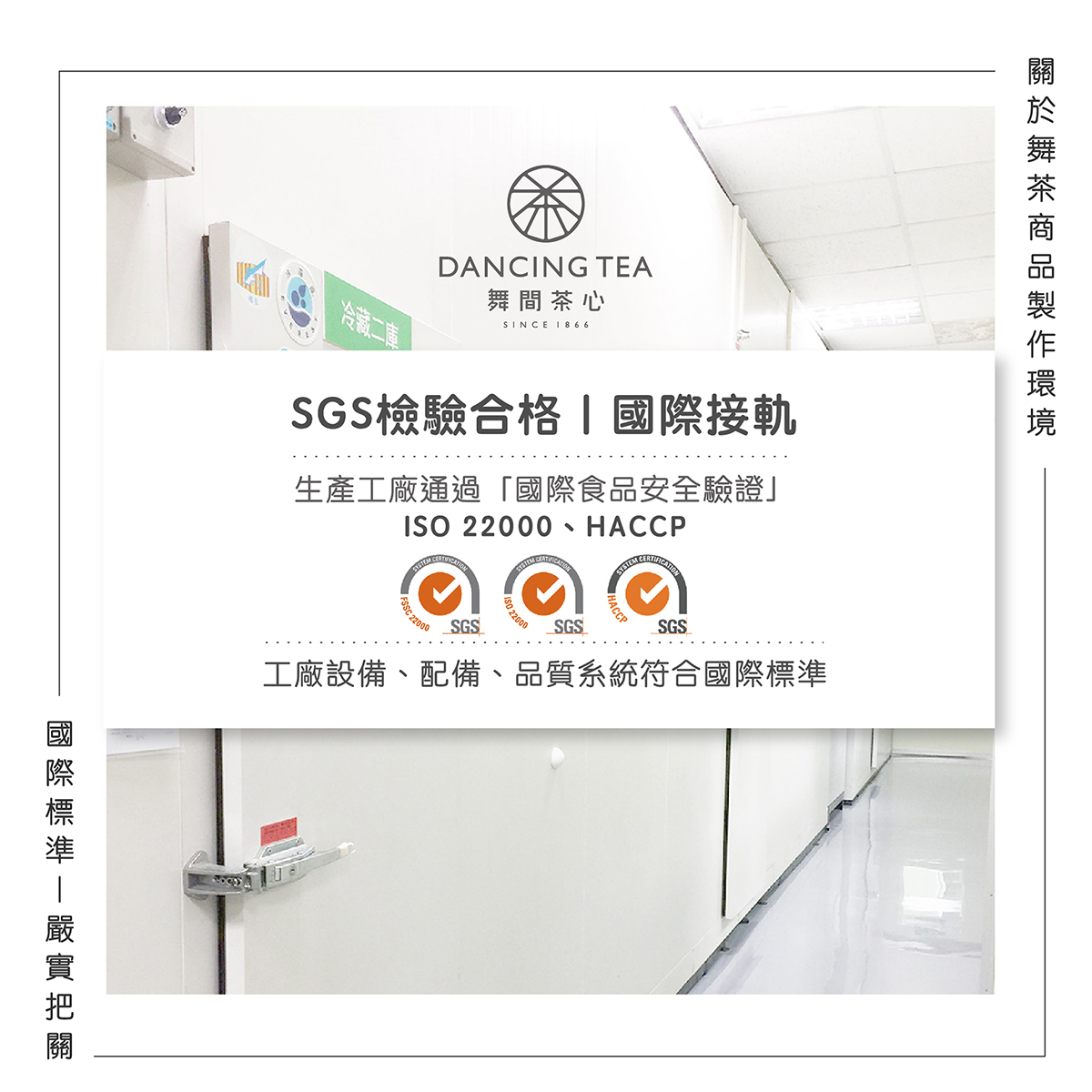 四季春-原片立體茶包50入(經濟包)