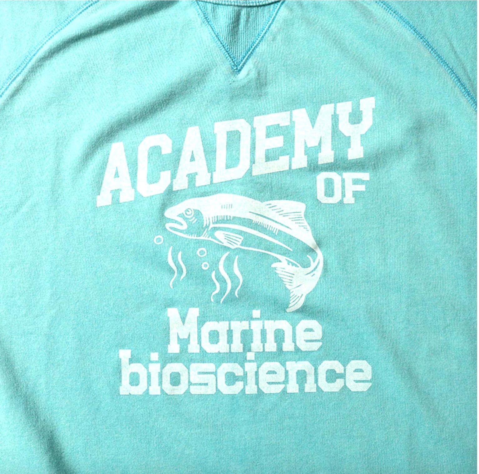 HOUSTON POWDER WASH S/S 短袖型輕薄 SWEAT(ACADEMY) / MINT