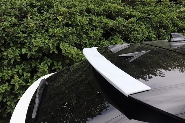 GARAGE VARY 車頂尾翼 NISSAN ARIYA 2024-