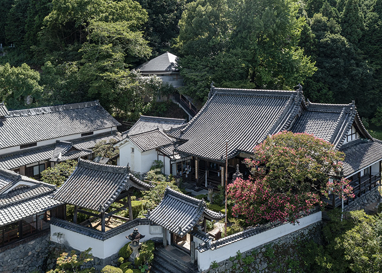 東亞地區建築保存：轉型中的傳統