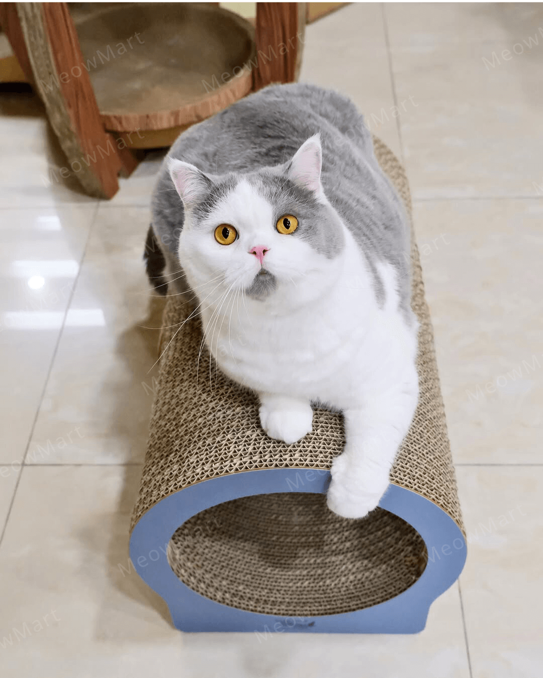 cococat 呼嚕隧道貓抓板