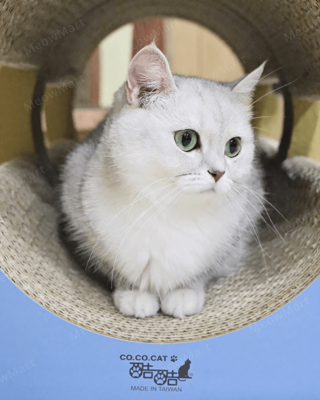 cococat 呼嚕隧道貓抓板