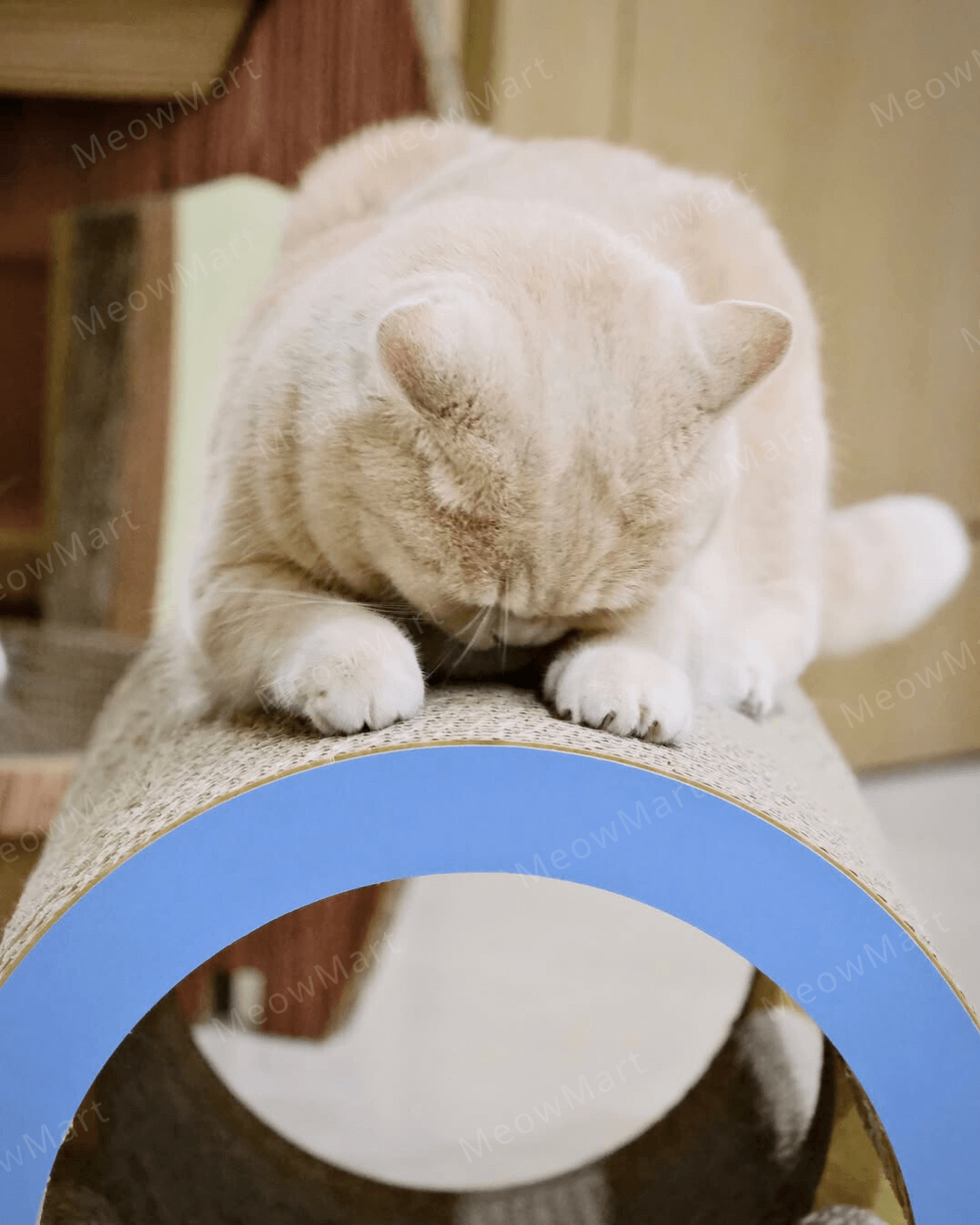 cococat 呼嚕隧道貓抓板