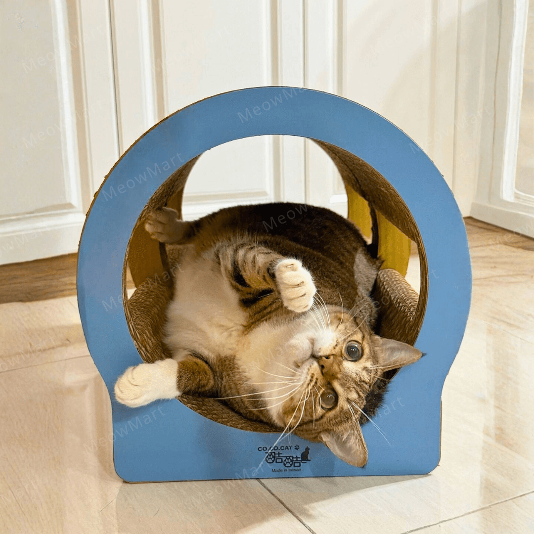 cococat 呼嚕隧道貓抓板
