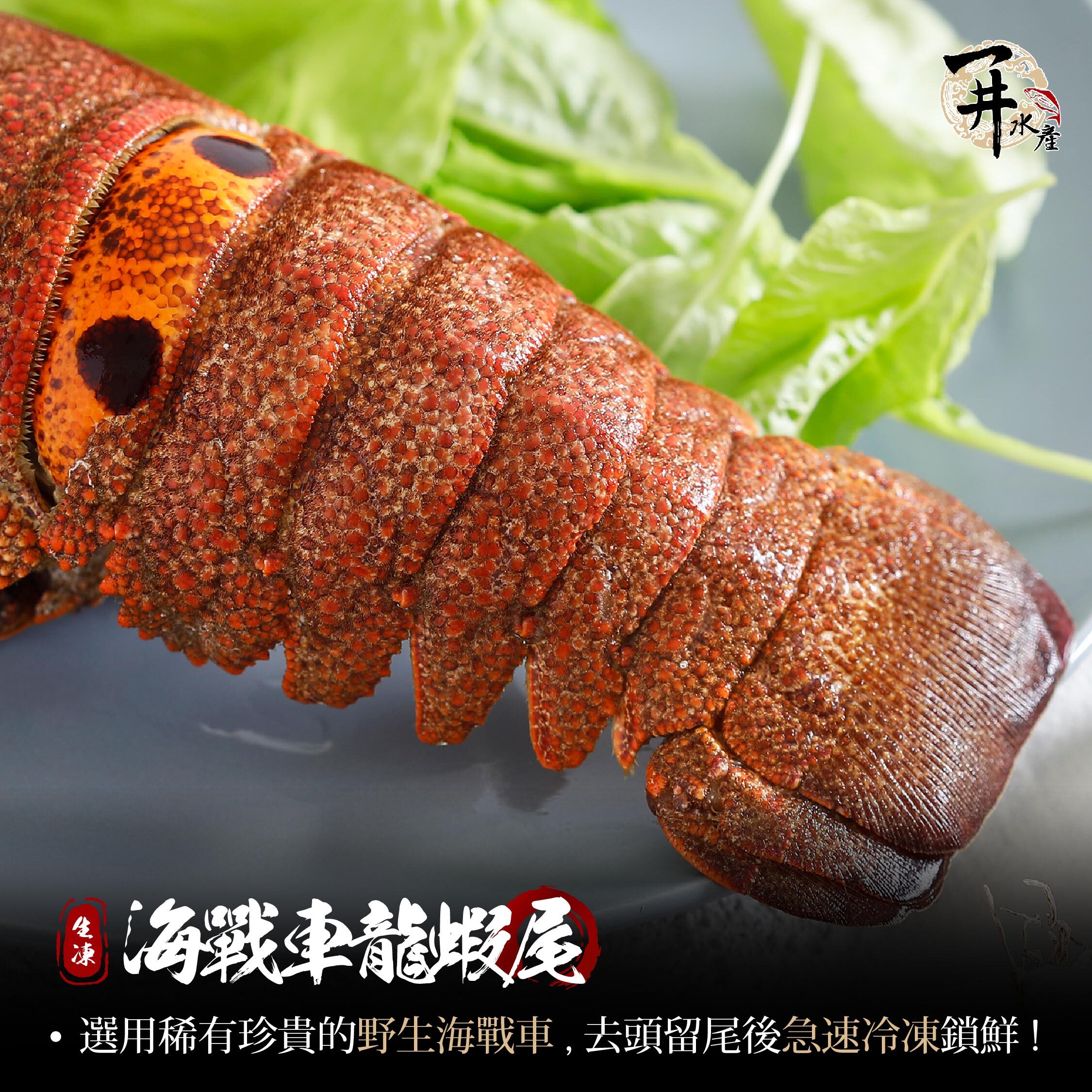 巴西 海戰車龍蝦尾