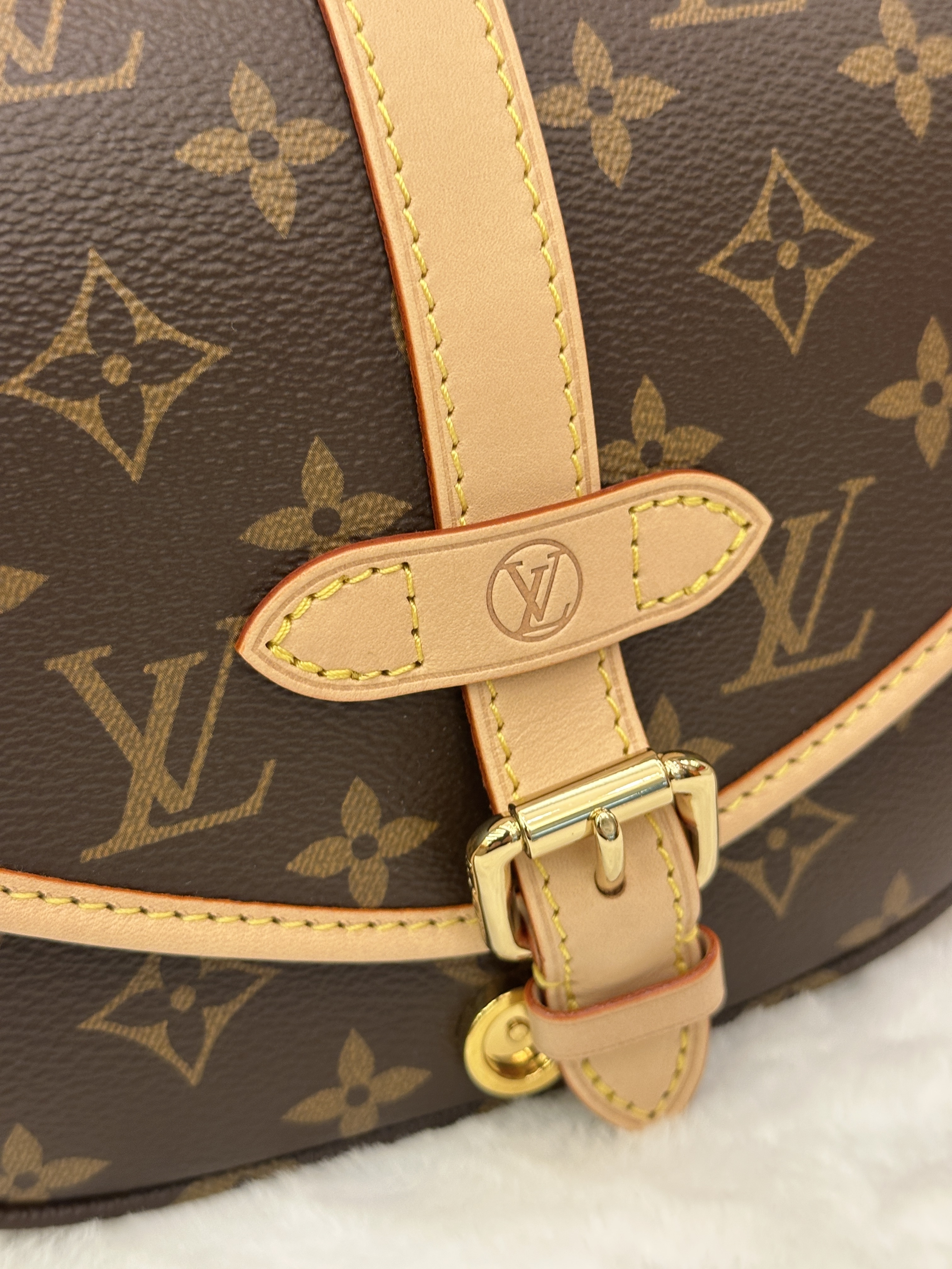 LV Saumur BB
