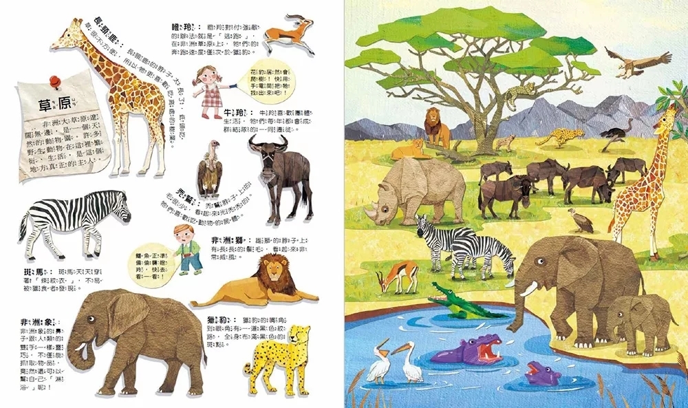 Fun！神奇膠片手電筒：野生動物【有趣的互動遊戲及豐富的動物知識】