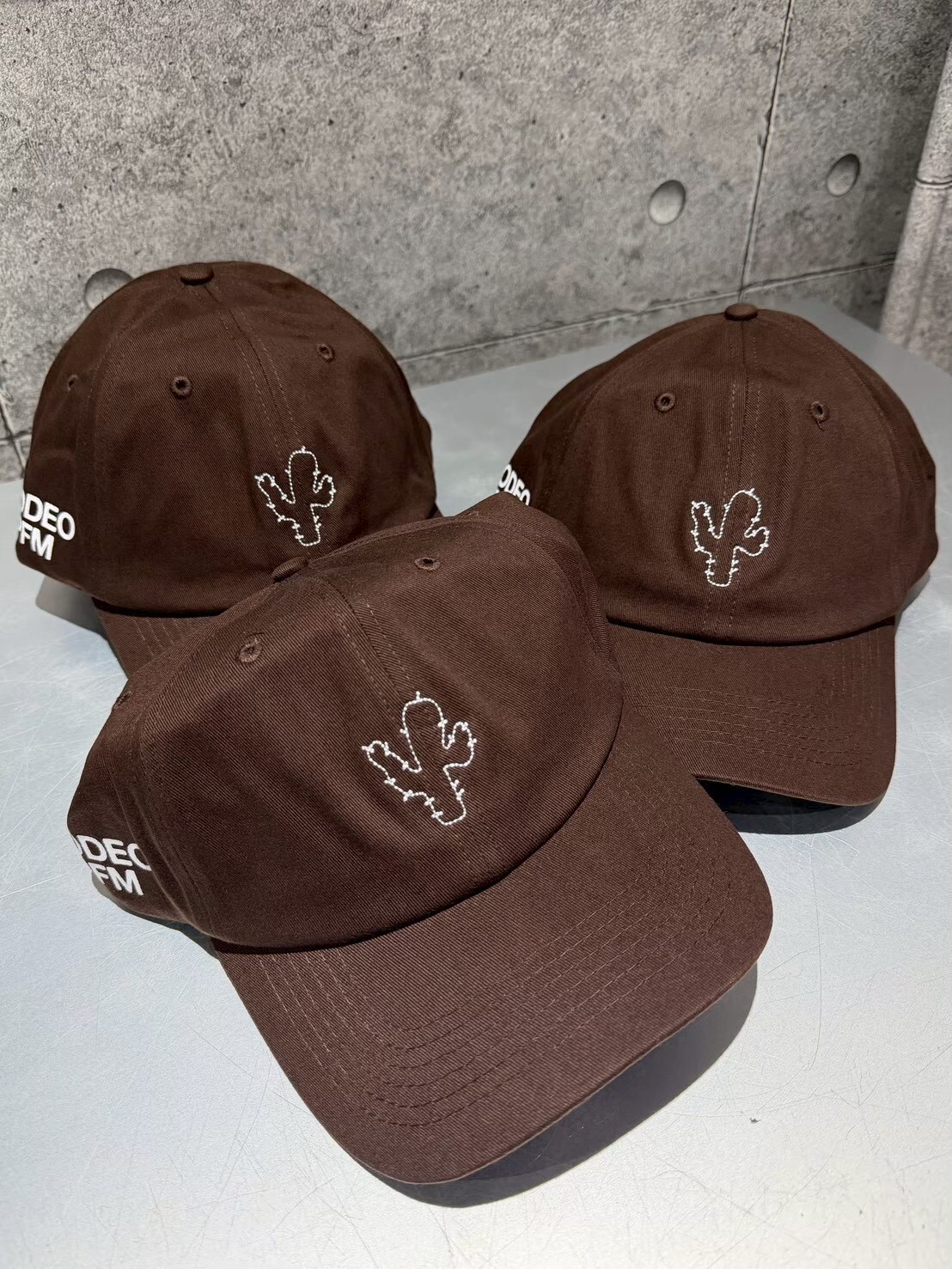 TRAVIS SCOTT RODEO CPFM CACTUS HAT 縫線仙人掌 老帽