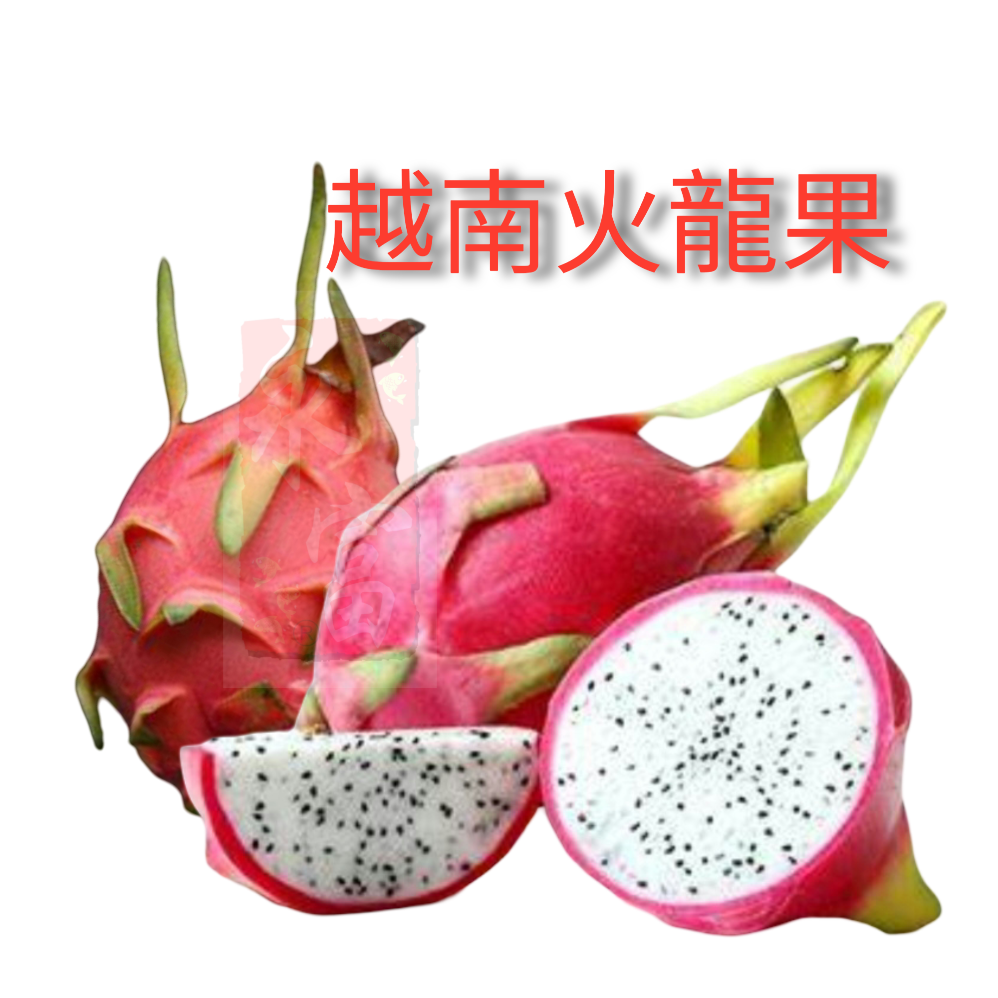 越南白肉火龍果